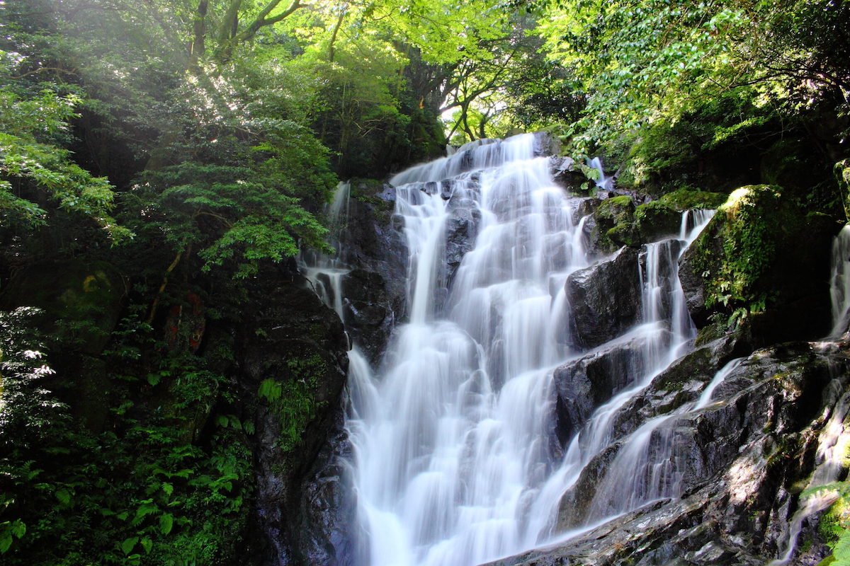 🌊 하얀 실 폭포(시라이토노타키) 이미지 6